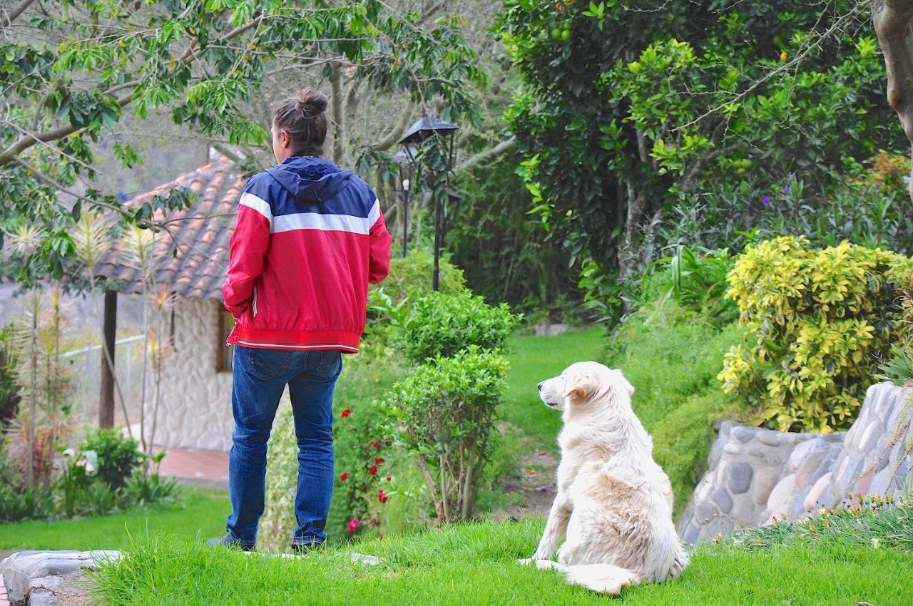 Hosteria Cananvalle Ibarra Ngoại thất bức ảnh