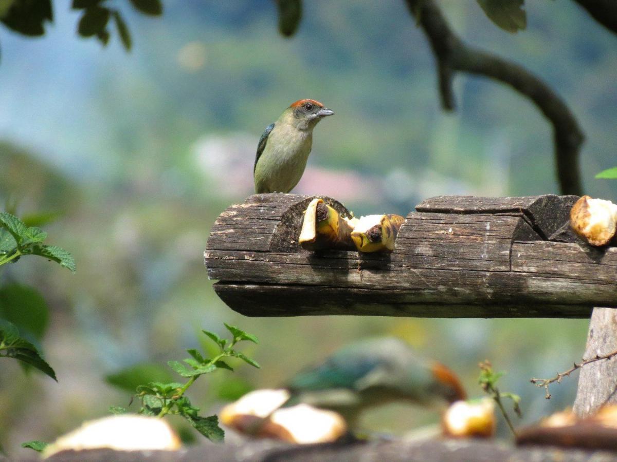 Hosteria Cananvalle Ibarra Ngoại thất bức ảnh
