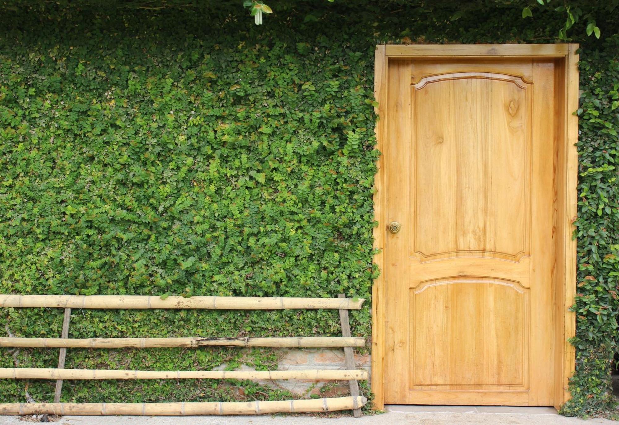 Hosteria Cananvalle Ibarra Ngoại thất bức ảnh