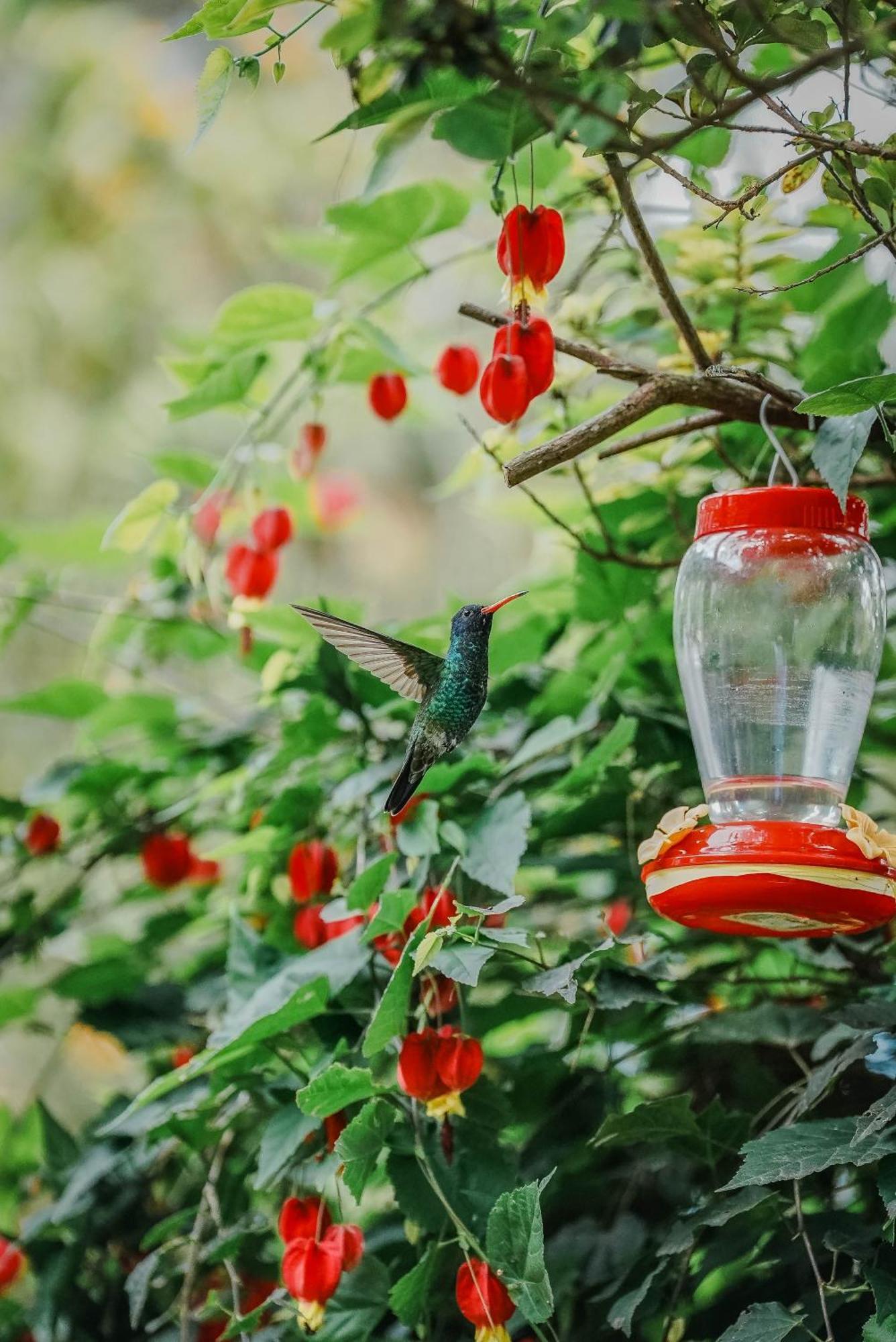 Hosteria Cananvalle Ibarra Ngoại thất bức ảnh